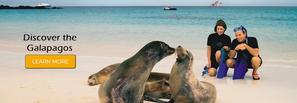 Discover the Galapagos Islands